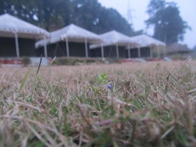 Jhājra Derra Camp And Resort מראה חיצוני תמונה